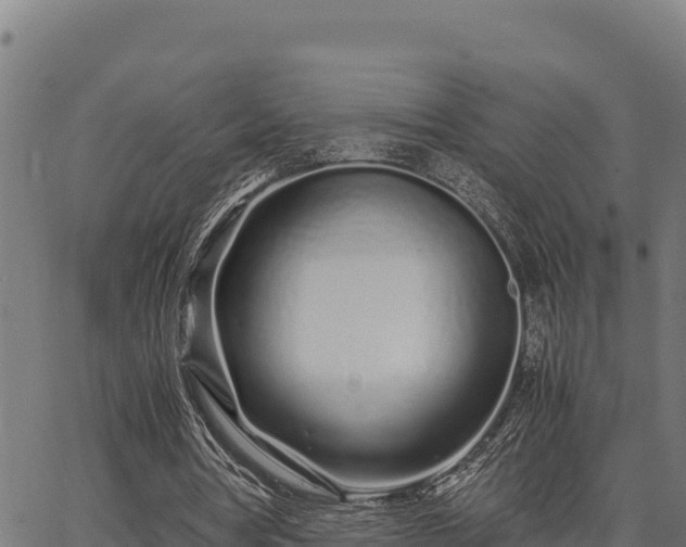 X0000067000386200603311620