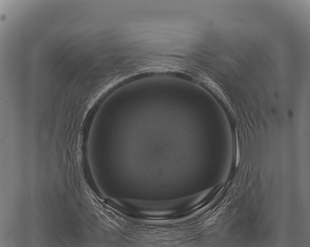 X0000067000387200603311620