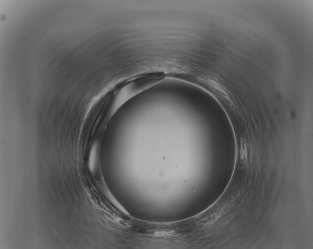 X0000067000388200603311620