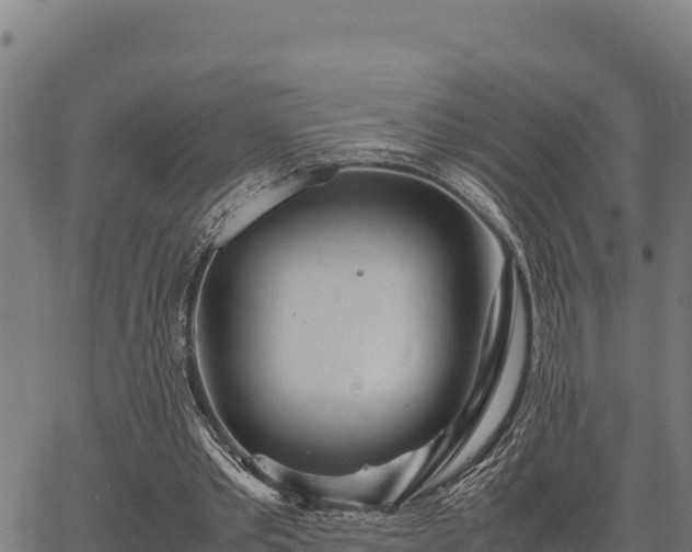 X0000067000389200603311620