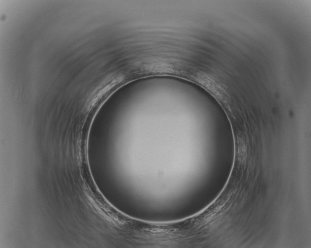 X0000067000390200603311620