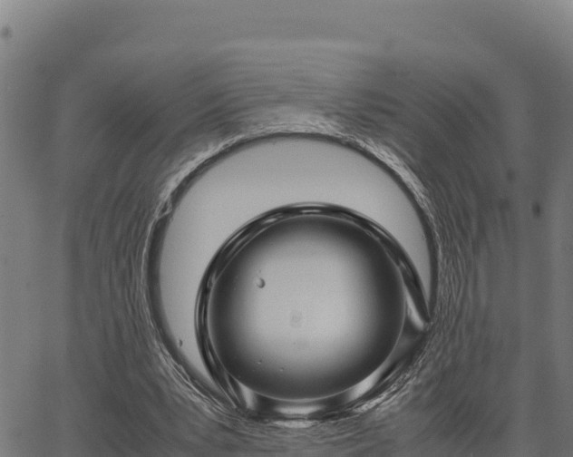 X0000067000391200603311620