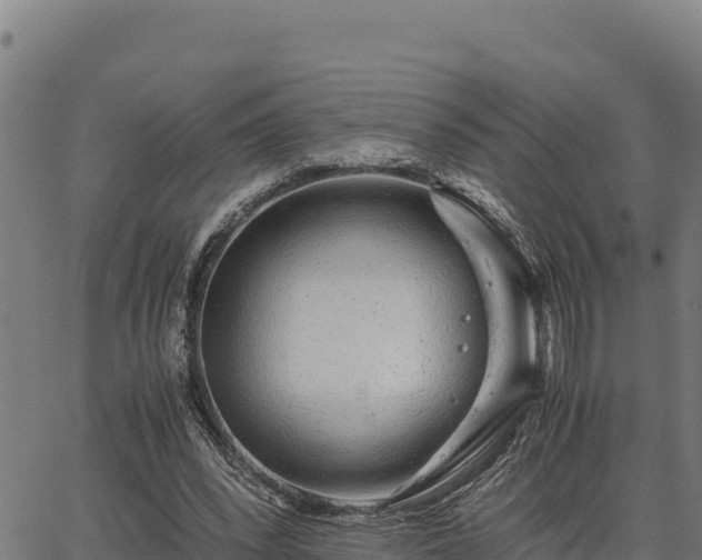 X0000067000392200603311620