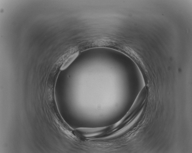 X0000067000393200603311620