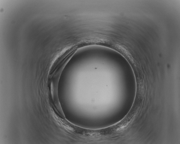 X0000067000395200603311620