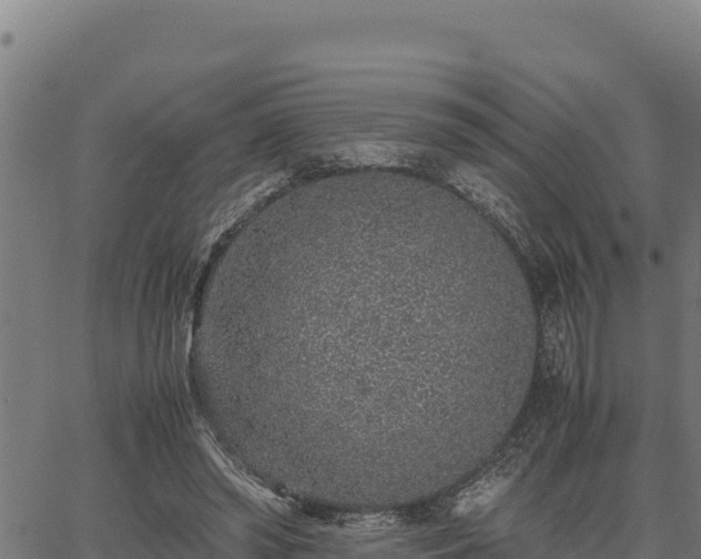 X0000067000398200603311619