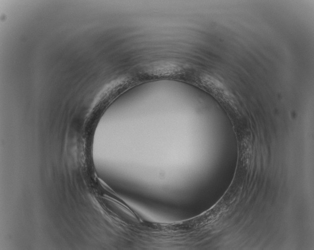 X0000067000400200603311619