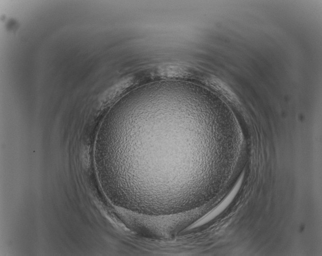 X0000067000401200603311619