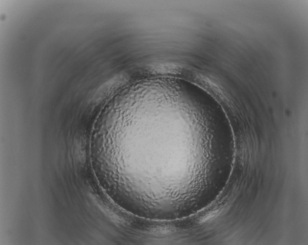 X0000067000402200603311619