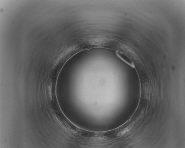 X0000067000404200603311619