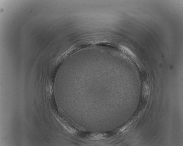 X0000067000405200603311619