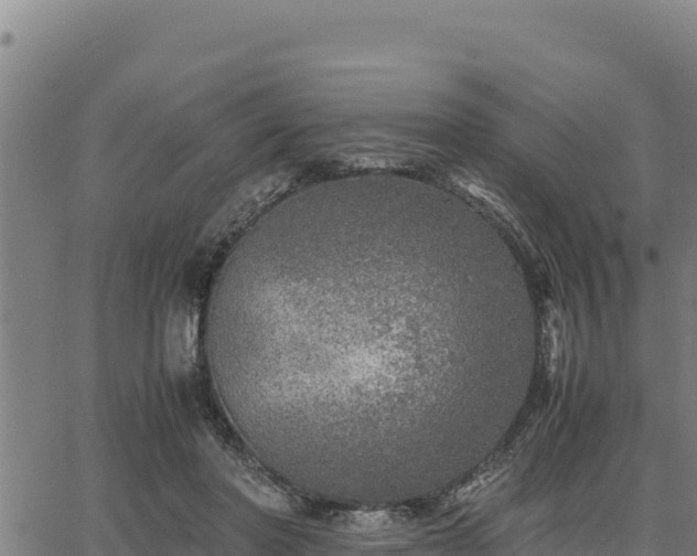 X0000067000406200603311619