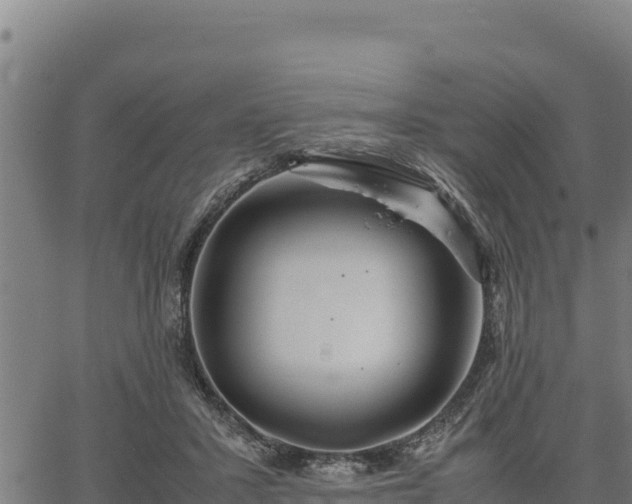 X0000067000407200603311619