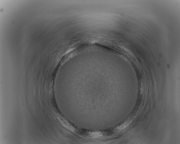 X0000067000409200603311619