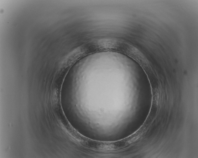 X0000067000410200603311619