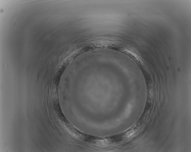 X0000067000411200603311619