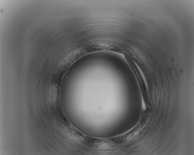 X0000067000412200603311619