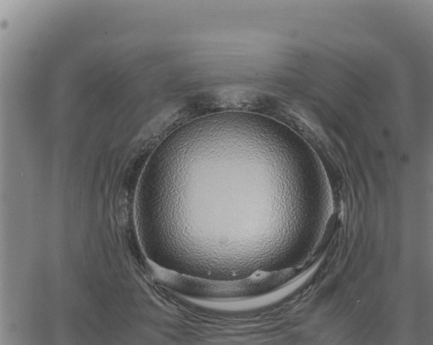 X0000067000413200603311619