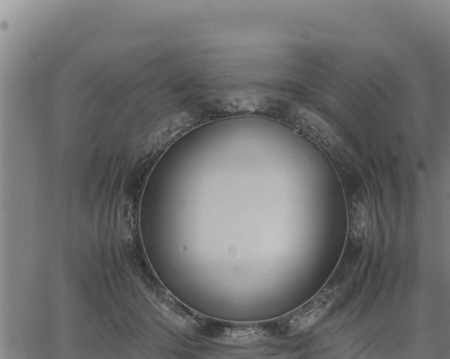 X0000067000414200603311619