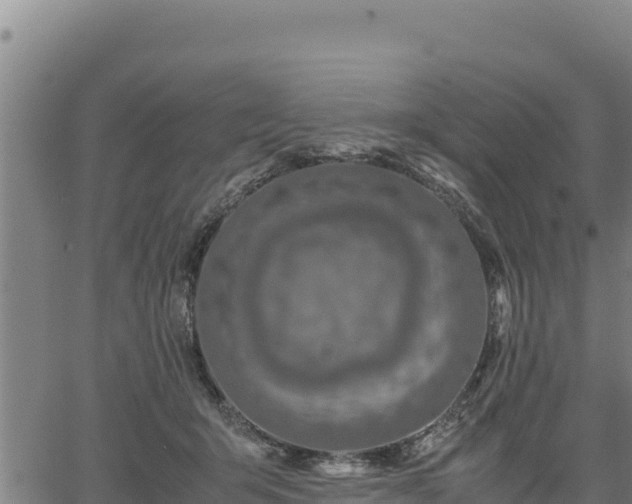 X0000067000415200603311619