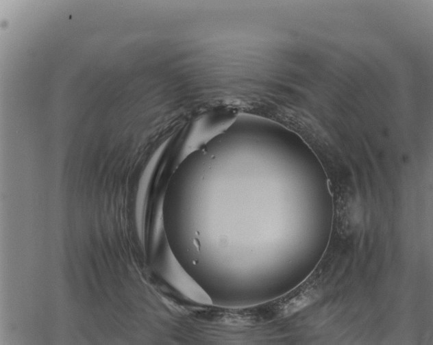 X0000067000416200603311619