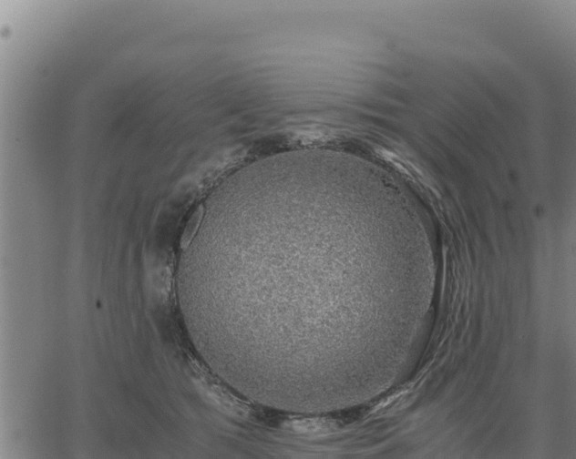 X0000067000417200603311619