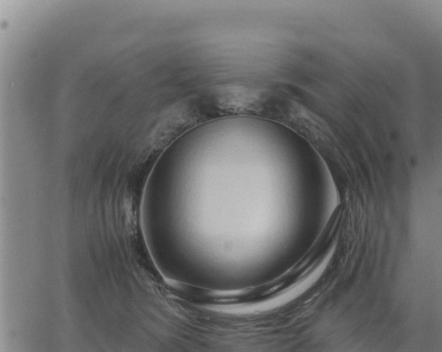 X0000067000420200603311619