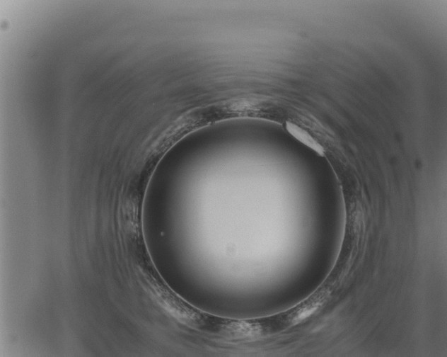 X0000067000421200603311619