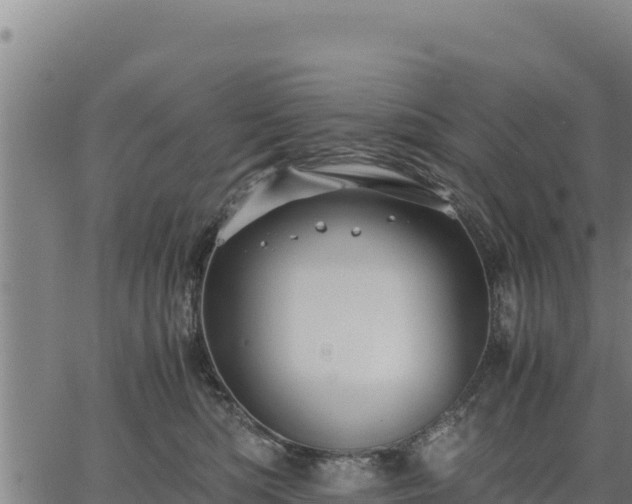 X0000067000422200603311619