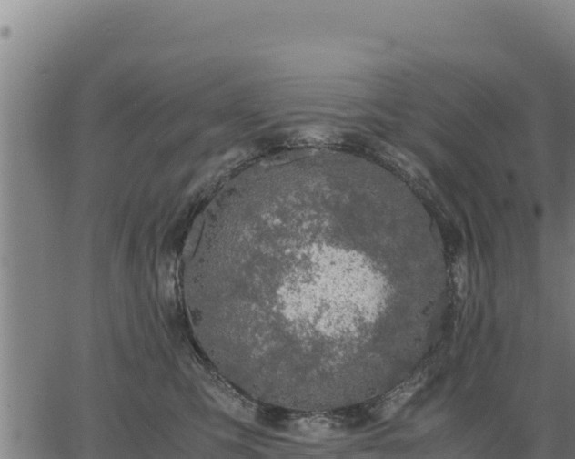 X0000067000423200603311619