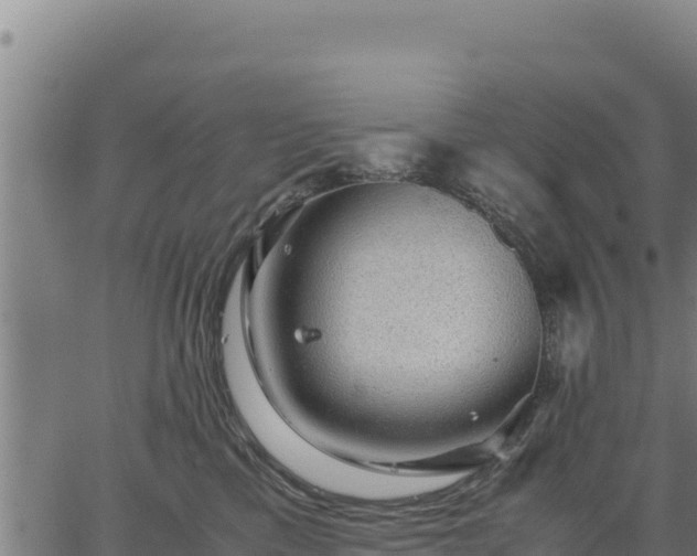 X0000067000425200603311619