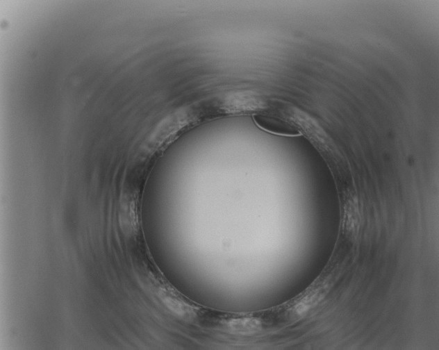 X0000067000426200603311619