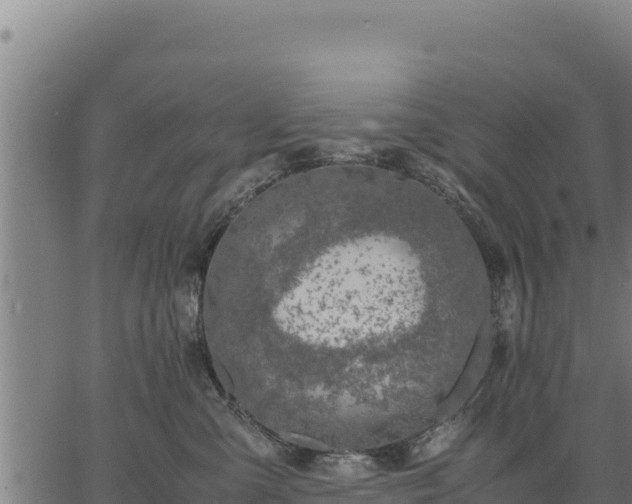 X0000067000427200603311619