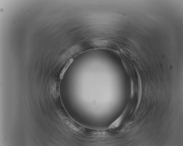 X0000067000428200603311619