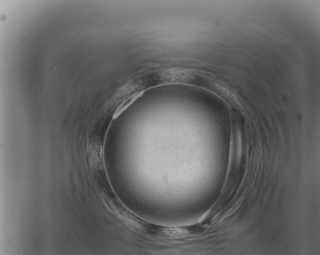 X0000067000429200603311619