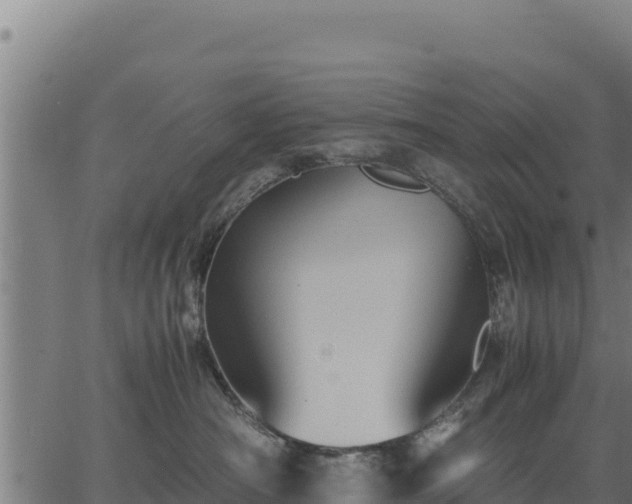 X0000067000430200603311619