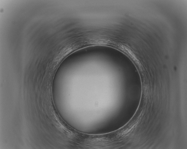 X0000067000433200603311618