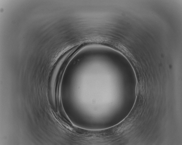 X0000067000434200603311618