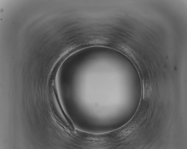 X0000067000435200603311618