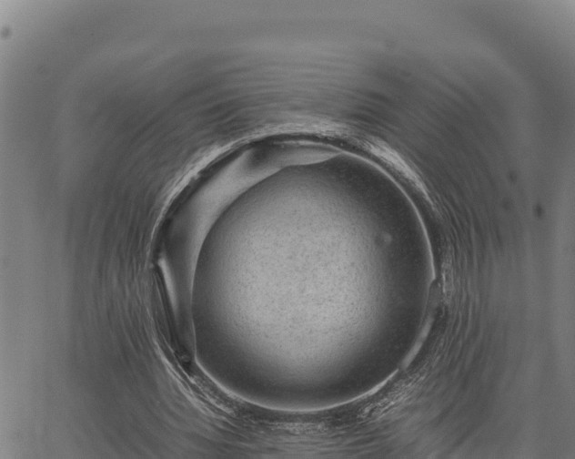 X0000067000436200603311618