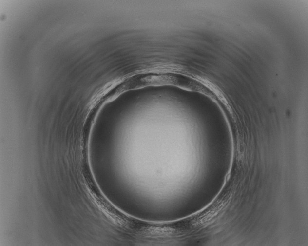 X0000067000437200603311618