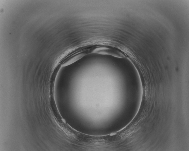 X0000067000438200603311618