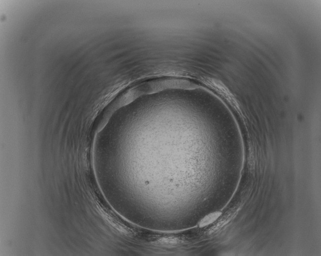 X0000067000441200603311618