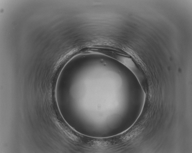 X0000067000442200603311618