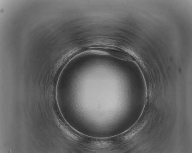 X0000067000445200603311618