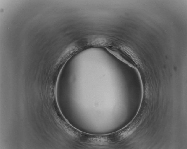 X0000067000449200603311618