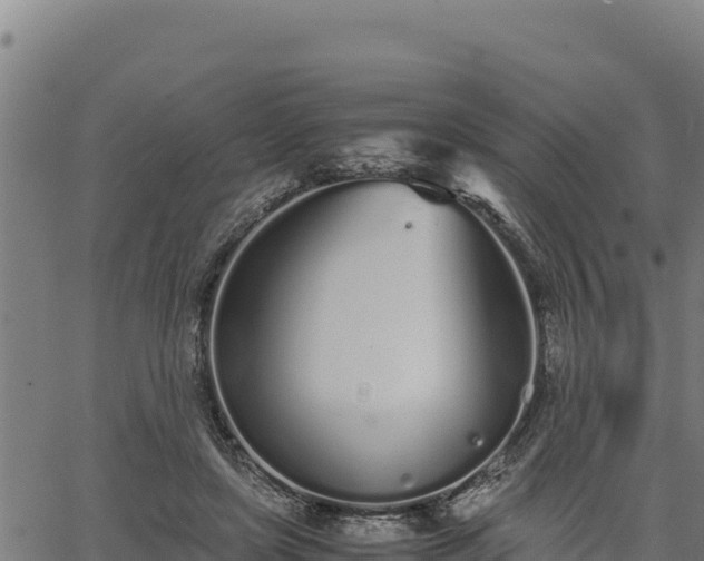 X0000067000451200603311618