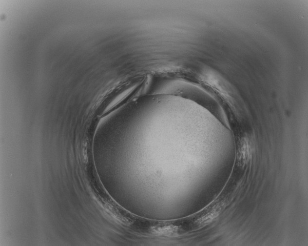 X0000067000452200603311618