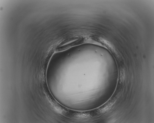 X0000067000453200603311618