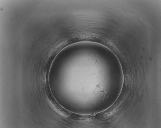 X0000067000454200603311618